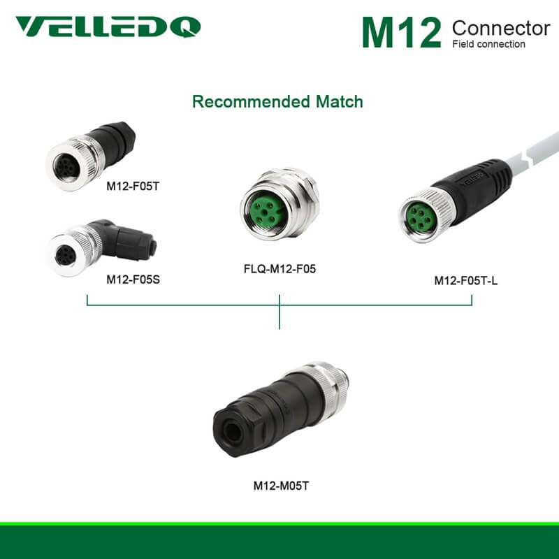 Field-wireable M12 5Pin/8Pin Straight Adaptor Screw Terminal Sensor Connector And Plug Fittings.